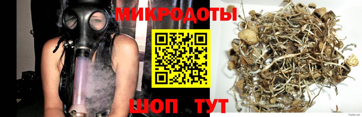 Псилоцибиновые грибы прущие грибы  Вход с VPN  Рославль  Галлюциногенные грибы мухоморы 